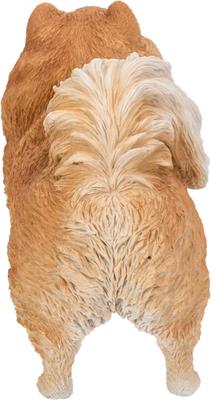 Show full view: Hi-Line Gift Standing Pomeranian Statue, 11.61-in slide 4 of 9