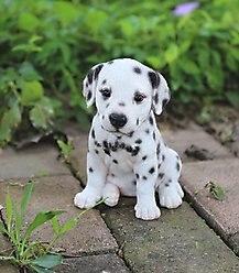 Hi-Line Gift Dalmatian Puppy Statue, 6.5-in