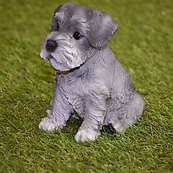 Hi-Line Gift Schnauzer Puppy Statue, 7-in