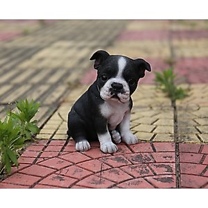 Hi-Line Gift Boston Terrier Puppy Statue, 6.5-in