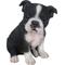 Show in main carousel: Hi-Line Gift Boston Terrier Puppy Statue, 6.5-in slide 2 of 5