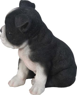 Show full view: Hi-Line Gift Boston Terrier Puppy Statue, 6.5-in slide 4 of 5