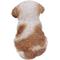 Show in main carousel: Hi-Line Gift Shih Tzu Puppy Statue, Brown & White, 6.5-in slide 6 of 6