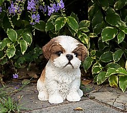 Hi-Line Gift Shih Tzu Puppy Statue, Brown & White, 6.5-in