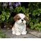 Show in main carousel: Hi-Line Gift Shih Tzu Puppy Statue, Brown & White, 6.5-in slide 1 of 6