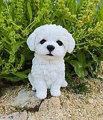 Hi-Line Gift Maltese Puppy Statue, 6.75-in