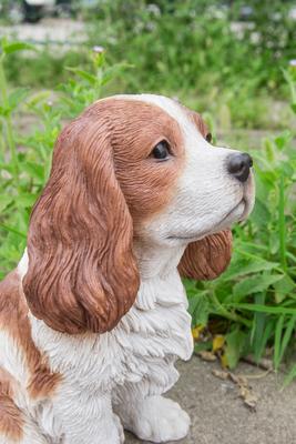 Show full view: Hi-Line Gift King Charles Spaniel Sitting Statue, 9.2-in slide 7 of 7