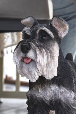 Show full view: Hi-Line Gift Standing Miniature Schnauzer Statue, 13.19-in slide 6 of 8