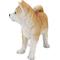 Show in main carousel: Hi-Line Gift Akita Dog Standing Statue, 13.7-in slide 3 of 8