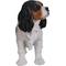 Show in main carousel: Hi-Line Gift King Charles Spaniel Statue, 12.5-in slide 2 of 6