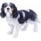 Show in main carousel: Hi-Line Gift King Charles Spaniel Statue, 12.5-in slide 1 of 6