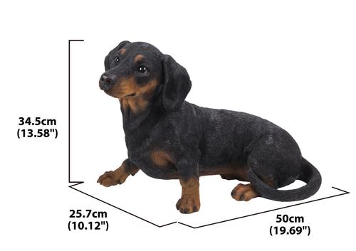 Show full view: Hi-Line Gift Dachshund Dog Statue, 13.58-in slide 6 of 7