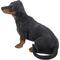 Show in main carousel: Hi-Line Gift Dachshund Dog Statue, 13.58-in slide 4 of 7
