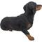 Show in main carousel: Hi-Line Gift Dachshund Dog Statue, 13.58-in slide 3 of 7