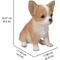 Show in main carousel: Hi-Line Gift Chihuahua Puppy Statue, Brown & White, 6.5-in slide 6 of 6