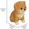 Show in main carousel: Hi-Line Gift Pomeranian Puppy Statue, 6-in slide 6 of 6