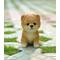 Show in main carousel: Hi-Line Gift Pomeranian Puppy Statue, 6-in slide 1 of 6