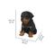 Show in main carousel: Hi-Line Gift Rottweiler Puppy Statue, 6.5-in slide 7 of 8