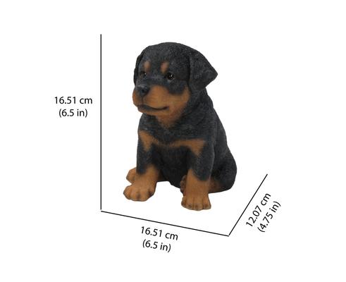 Show full view: Hi-Line Gift Rottweiler Puppy Statue, 6.5-in slide 7 of 8