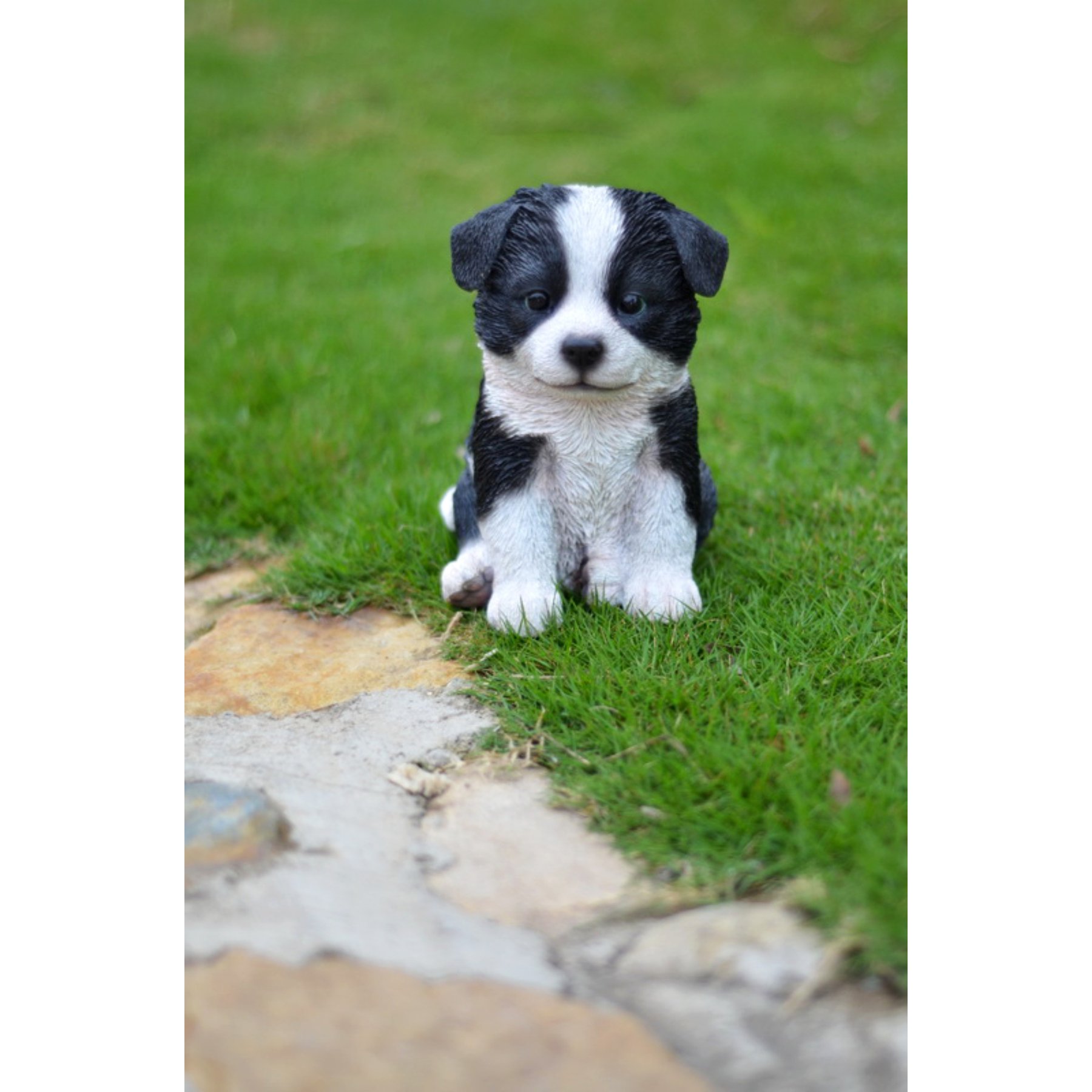 Hi-Line Gift Border Collie Puppy Statue, 6.75-in