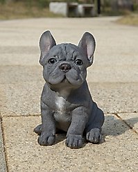 Hi-Line Gift Blue French Bulldog Puppy Sitting Statue, 6.3-in slide 1 of 9