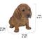 Show in main carousel: Hi-Line Gift Brown Dachshund Sitting Statue, 5.51-in slide 8 of 8