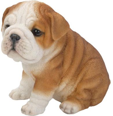 Show full view: Hi-Line Gift Bulldog Puppy Statue, 6.5-in slide 4 of 5