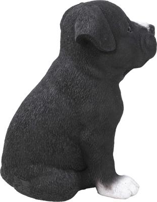 Show full view: Hi-Line Gift Staffordshire Pitbull Puppy Statue, 6.5-in slide 4 of 5