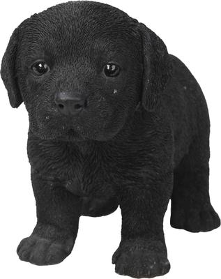 Show full view: Hi-Line Gift Standing Black Labrador Puppy Statue, 6-in slide 3 of 6