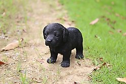 Hi-Line Gift Standing Black Labrador Puppy Statue, 6-in