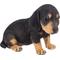 Show in main carousel: Hi-Line Gift Dachshund Puppy Statue, 6-in slide 7 of 7