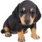 Show in main carousel: Hi-Line Gift Dachshund Puppy Statue, 6-in slide 2 of 7