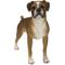 Show in main carousel: Hi-Line Gift Boxer Dog Standing Statue, 13.78-in slide 2 of 8