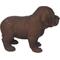 Show in main carousel: Hi-Line Gift Standing Chocolate Labrador Puppy Statue, 6-in slide 4 of 5