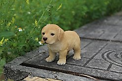 Hi-Line Gift Standing Yellow Labrador Puppy Statue, 6-in