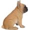 Show in main carousel: Hi-Line Gift French Bulldog Puppy Statue, 7.75-in slide 5 of 6