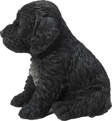 Show full view: Hi-Line Gift Cockapoo Puppy Statue, 5.75-in slide 3 of 5