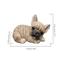 Show in main carousel: Hi-Line Gift Resting French Bulldog Statue slide 7 of 8