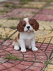 Hi-Line Gift King Charles Puppy Statue