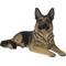 Show in main carousel: Hi-Line Gift Lying Down German Shepherd Statue, 16.14-in slide 2 of 8