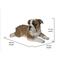 Show in main carousel: Hi-Line Gift Lying Down Bulldog Pup Statue, 8.46-in slide 7 of 8