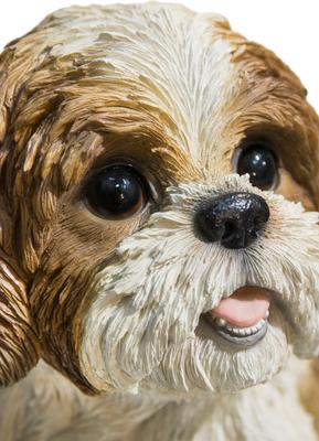 Show full view: Hi-Line Gift Shih Tzu Sitting Statue, 10.63-in slide 7 of 7