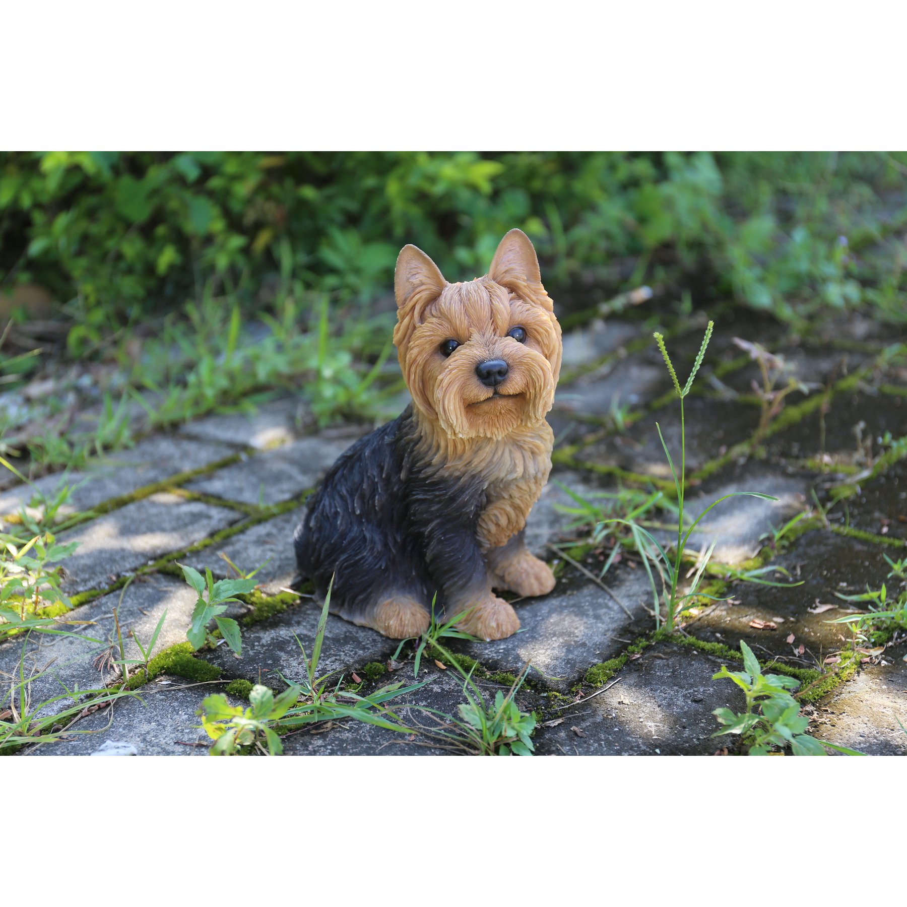 Hi-Line Gift Sitting Yorkshire Terrier Statue, 9.25-in