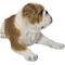 Show in main carousel: Hi-Line Gift Lying Down Bulldog Statue, 9.06-in slide 5 of 8