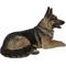 Show in main carousel: Hi-Line Gift Lying Down German Shepherd Statue, 16.14-in slide 5 of 8