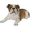Show in main carousel: Hi-Line Gift Lying Down Bulldog Statue, 9.06-in slide 2 of 8