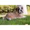 Show in main carousel: Hi-Line Gift Lying Down Bulldog Pup Statue, 8.46-in slide 1 of 8