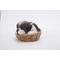 Show in main carousel: Hi-Line Gift Wicker Basket Shih Tzu Puppy Statue, 6-in slide 6 of 8