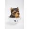 Show in main carousel: Hi-Line Gift Teacup Yorkshire Terrier Puppy Statue, 6-in slide 7 of 7