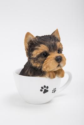Show full view: Hi-Line Gift Teacup Yorkshire Terrier Puppy Statue, 6-in slide 7 of 7